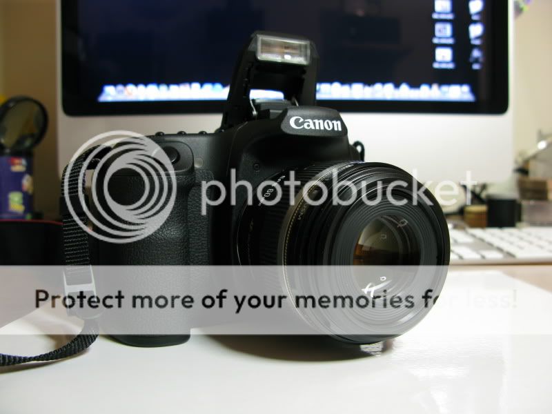 Présentation Canon EOS 50D & Canon EF-S 60mm macro USM IMG_2109